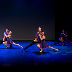 Showcase-141.jpg